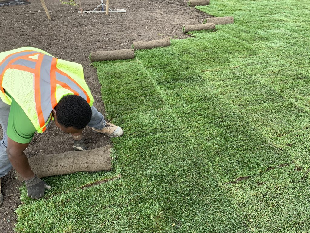 Sod Installation example 1