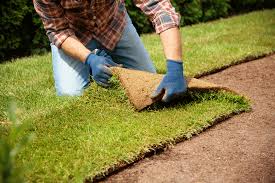 Sod Installation example 3